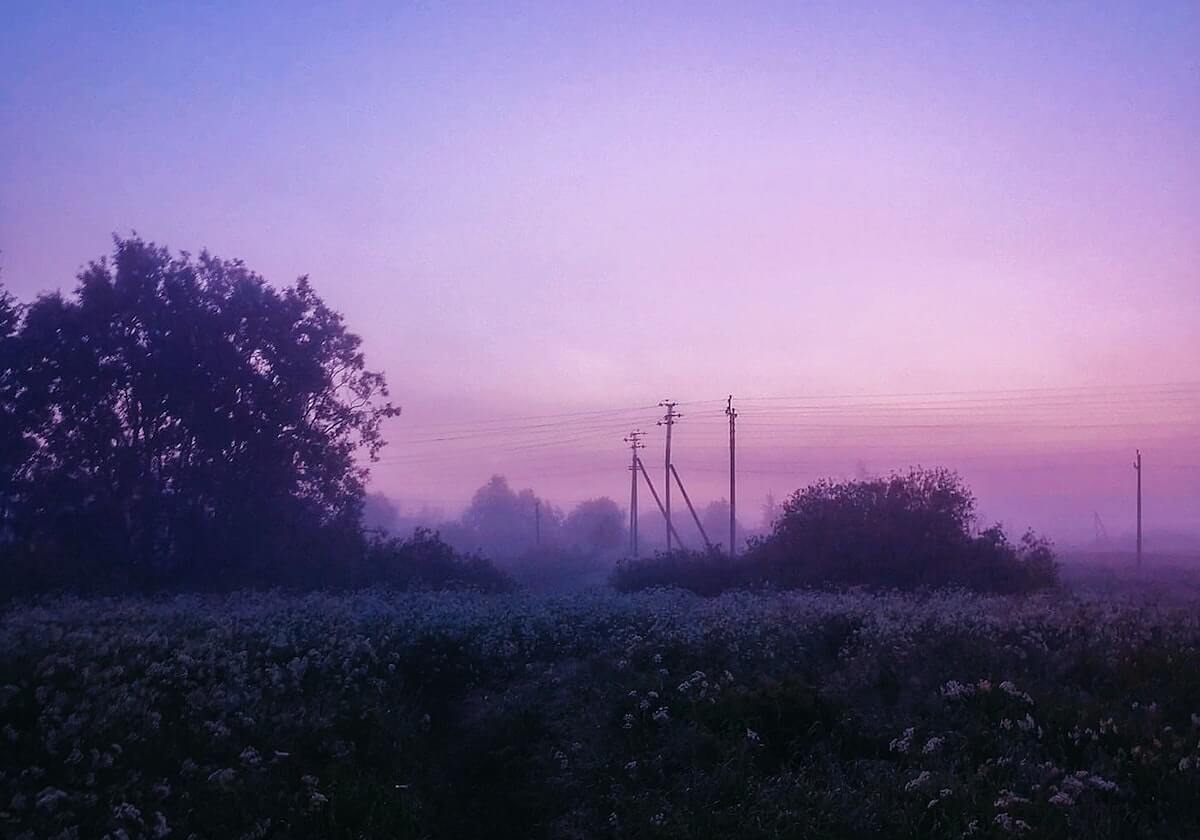 推特体检卡：问题转发语是不是再加工，动作把前提补一句，提示读完更清醒